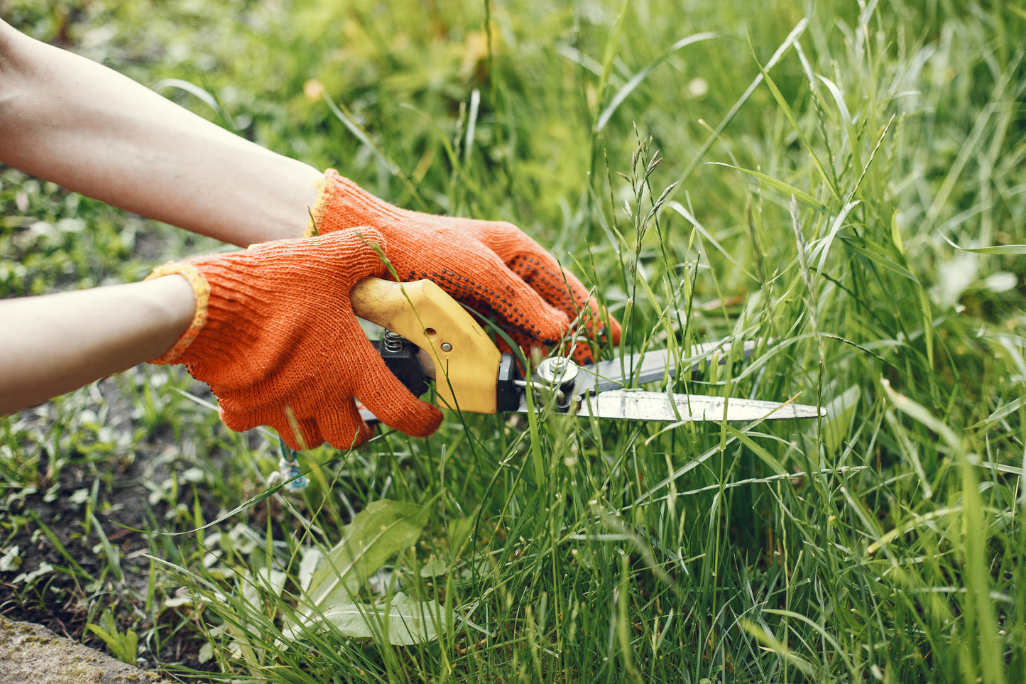Weeding service